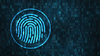 5 fases fundamentales del análisis forense digital