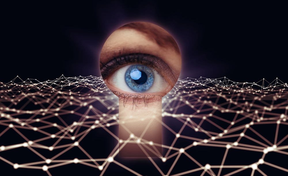 InvisiMole: Surprisingly equipped spyware, undercover since 2013