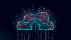 Scarabs colon-izing vulnerable servers